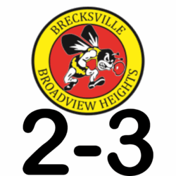 Jr. GameBOT Bees 2-3